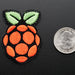 Adafruit Raspberry Pi Skill Badge