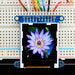 Adafruit 1.44" Colour TFT LCD Display w/MicroSD Breakout Flower