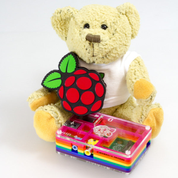 PiHUB with Babbage Bear and Raspberry Pi