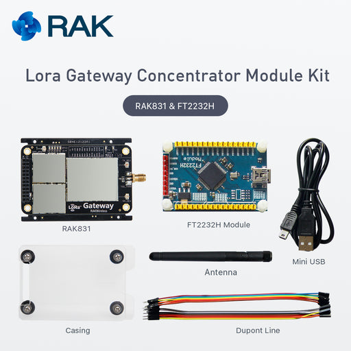 RAK831 and FT2232H Lora Gateway Concentrator Module Kit (based on SX1301)
