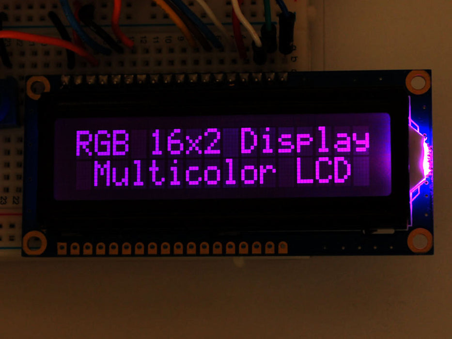 Adafruit RGB Backlight -ve LCD Purple