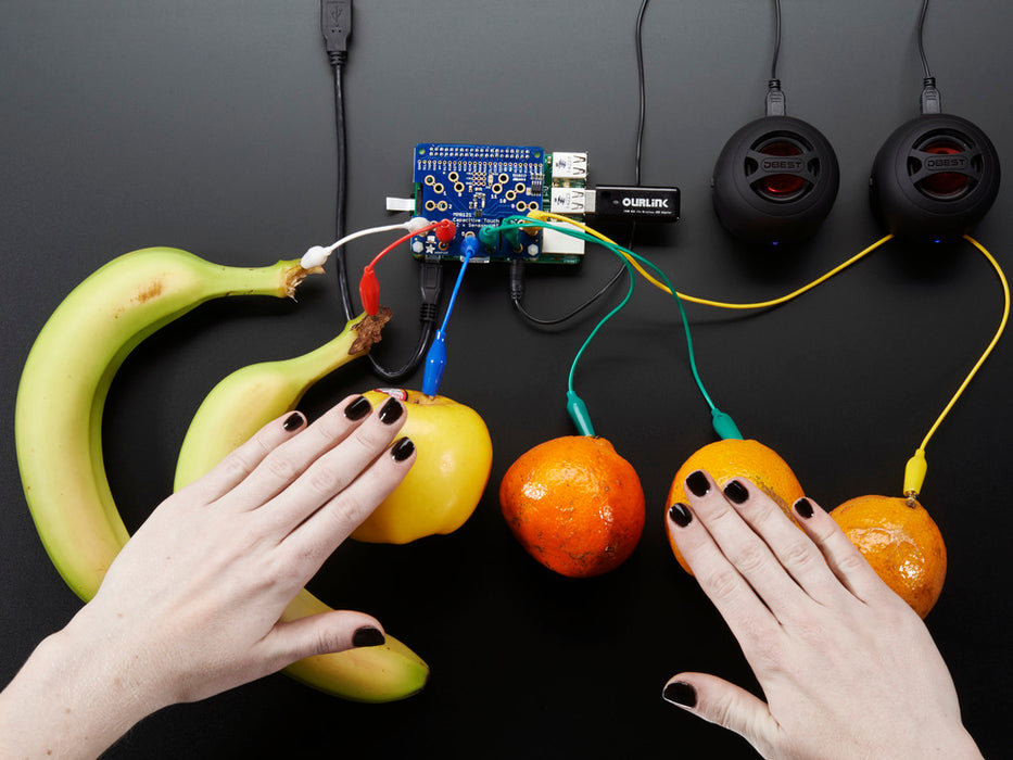 Adafruit Capacitive Touch Driven by Fruit!