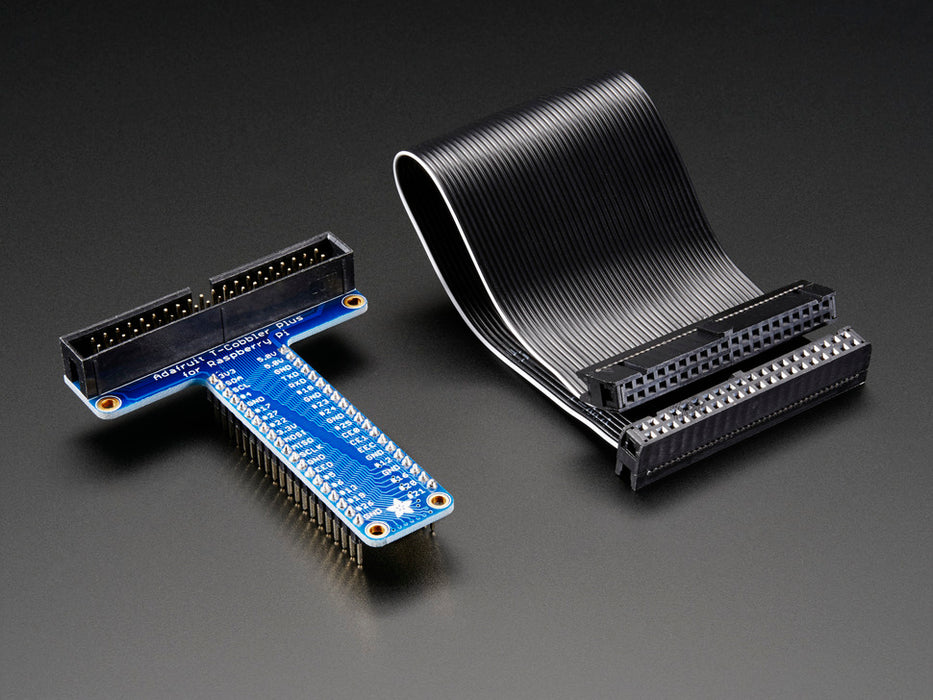 Assembled T-Cobbler and 40 Pin Ribbon Cable