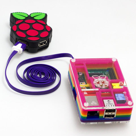 Pi Hub with Raspberry Pi